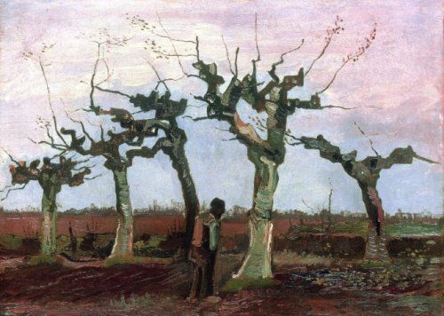 Van Gogh, landschap met knotberken, 1884 Privécollectie (uit de Bredase kisten)