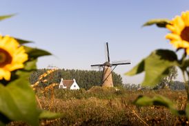 De Roosdonck windmill