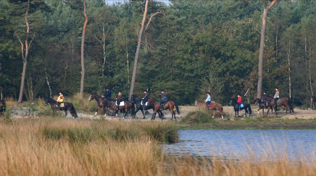 Horseback-riding in Deurne