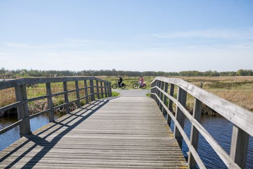 Koppel fietst tijdens de Fiets-vaarexcursie in Landsmeer