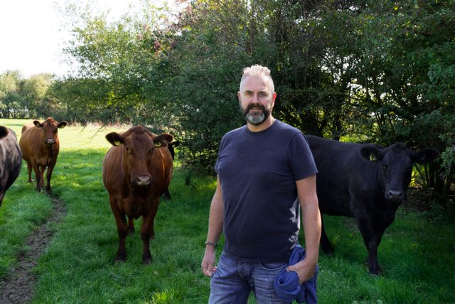 Een boer tussen koeien in een weiland in Flevoland
