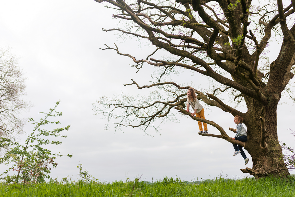 Ein Junge und ein Mädchen sind auf einen Baum geklettert. Das Mädchen schaut in die Ferne.