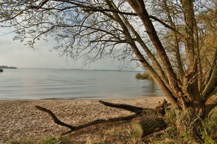 Picture of the beach in nature area the Appelzak in Moerdijk.