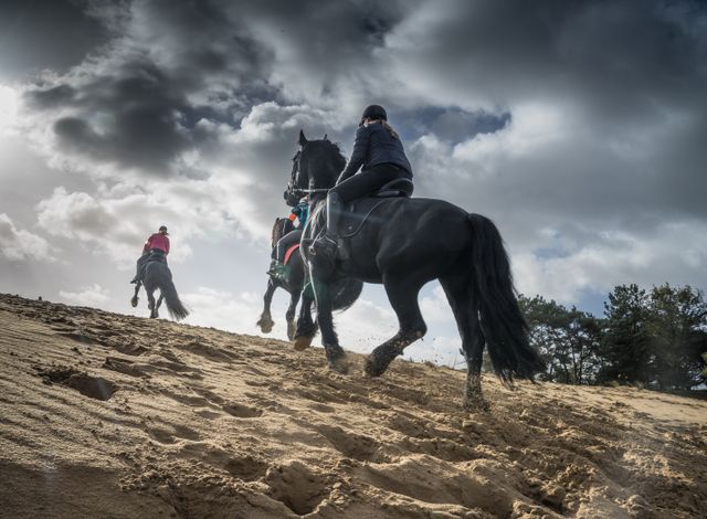 Paardrijden zandverstuiving Friese paarden buitenrit