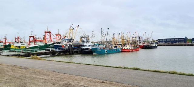De vissershaven in Lauwersoog