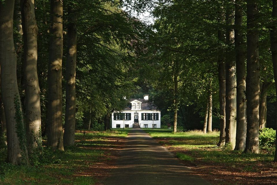 Huis Westerbeek in Frederiksoord gezien vanaf het pad dat overschaduwd is door bomen.