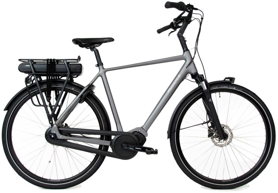Male Rental E-bike