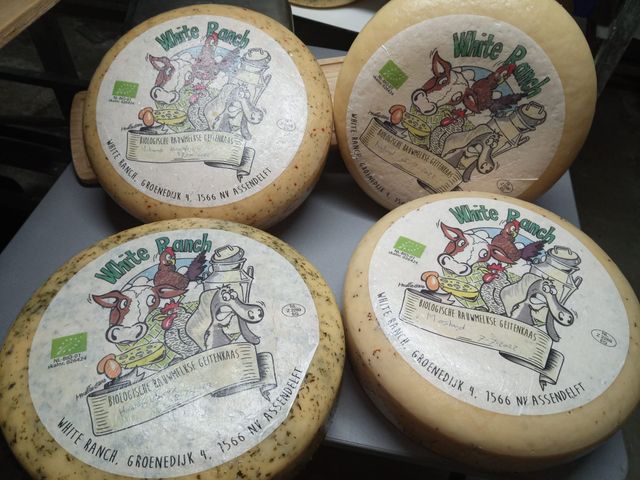 kaas maker product winkel Assendelft duurzaam groen boerderij