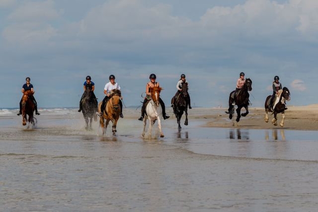 Paardrijden aan het strand