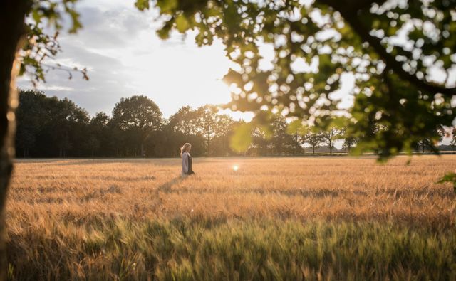 Een vrouw wandelt door het korenveld, terwijl de zon door de bladeren schittert.