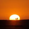 De silhouetten van wandelaars op het strand bij zonsondergang