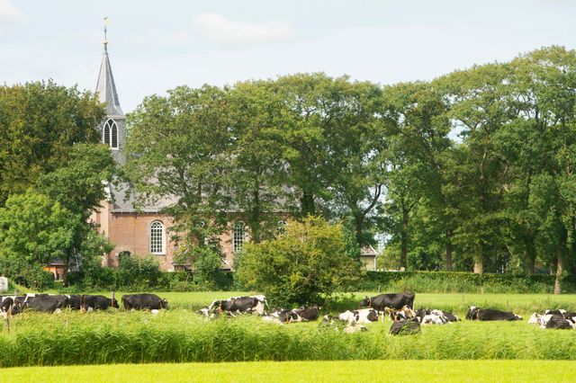 Martinuskerk Gytsjerk