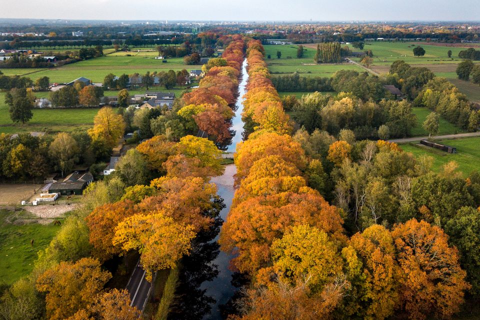 Herfst - Apeldoorns Kanaal
