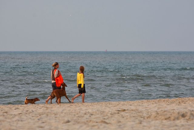 wandelende vrouw met kind en honden op strand