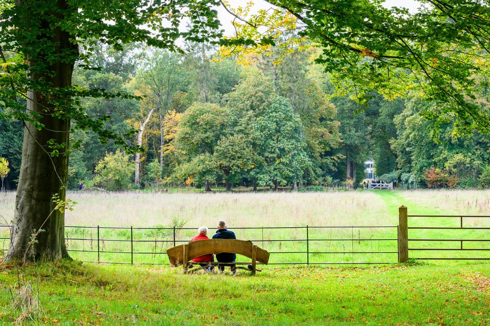 Buitenplaats Boekesteyn 's-Graveland wandelaars op bankje in herfst