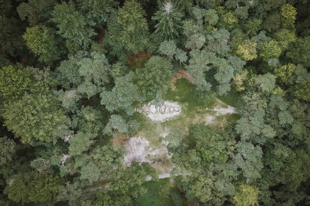 Een luchtfoto van een hunebed dat tussen de bomen ligt.