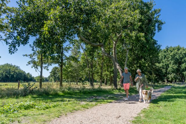 Wandelen met de hond in de natuur Op Schouwen-Duiveland