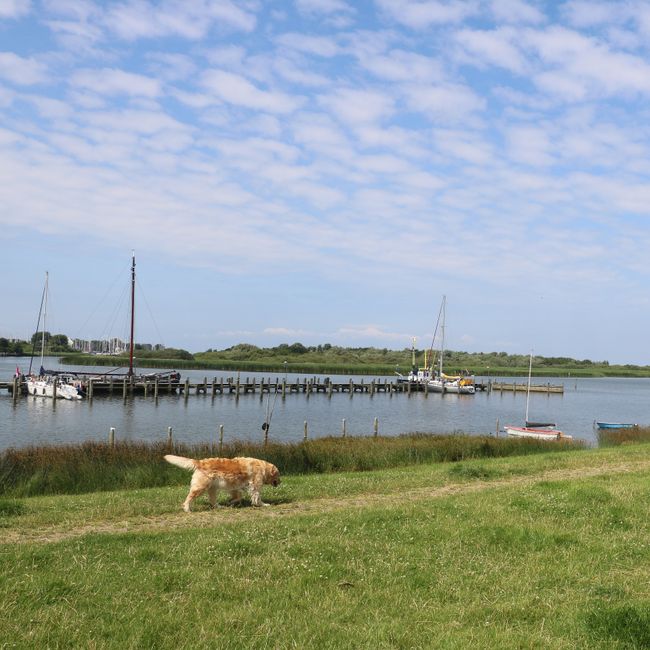 IJsselmeer met Makkumer Noordwaard