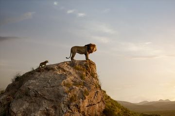Uitmarkt Ede: Cinema in het Park 'Lion King'